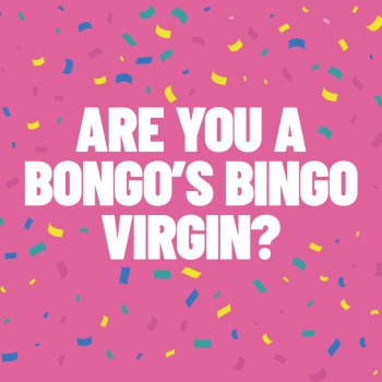 Bongo's Bingo Beginner's Guide